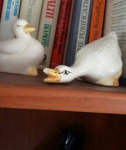 2 ceramic ducks